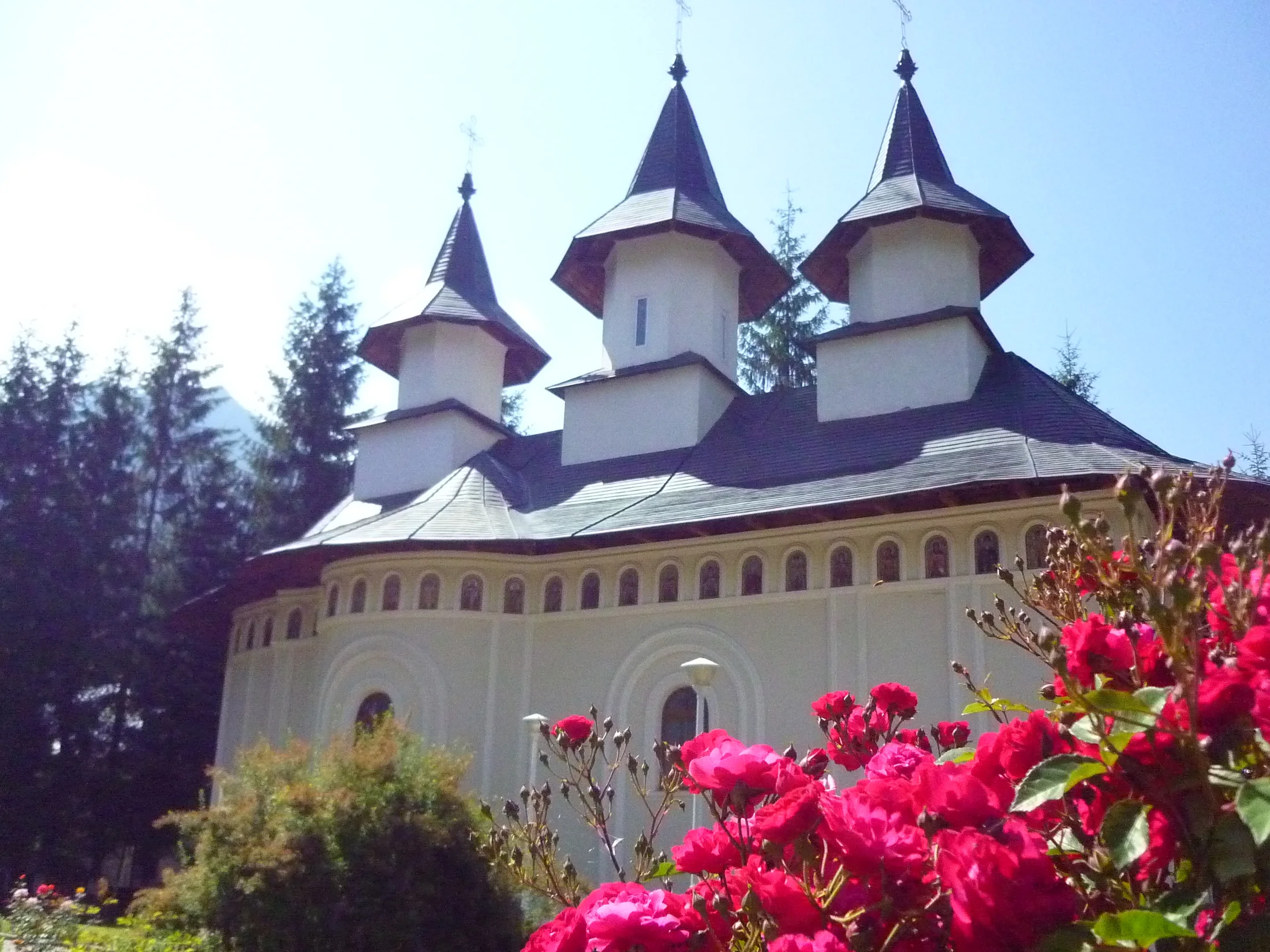 Hotel CASA PELERINUL